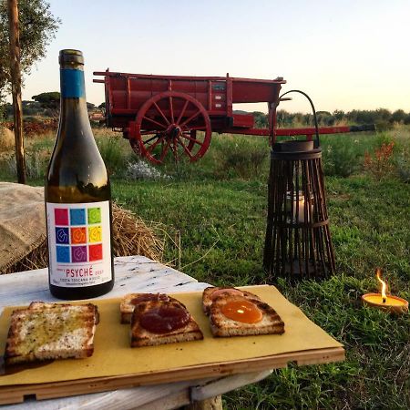 קסטנייטו קרדוצ'י Agriturismo Quattro Pini מראה חיצוני תמונה