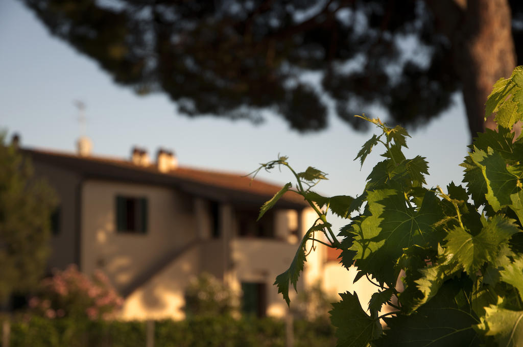 קסטנייטו קרדוצ'י Agriturismo Quattro Pini מראה חיצוני תמונה