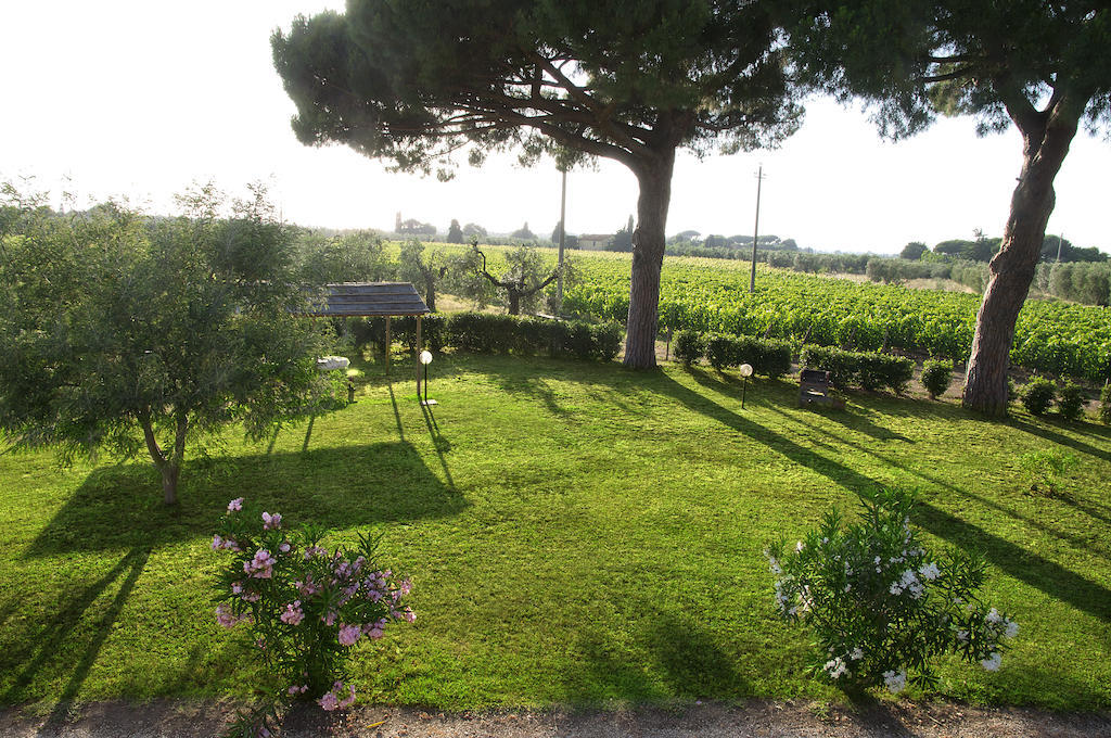 קסטנייטו קרדוצ'י Agriturismo Quattro Pini חדר תמונה