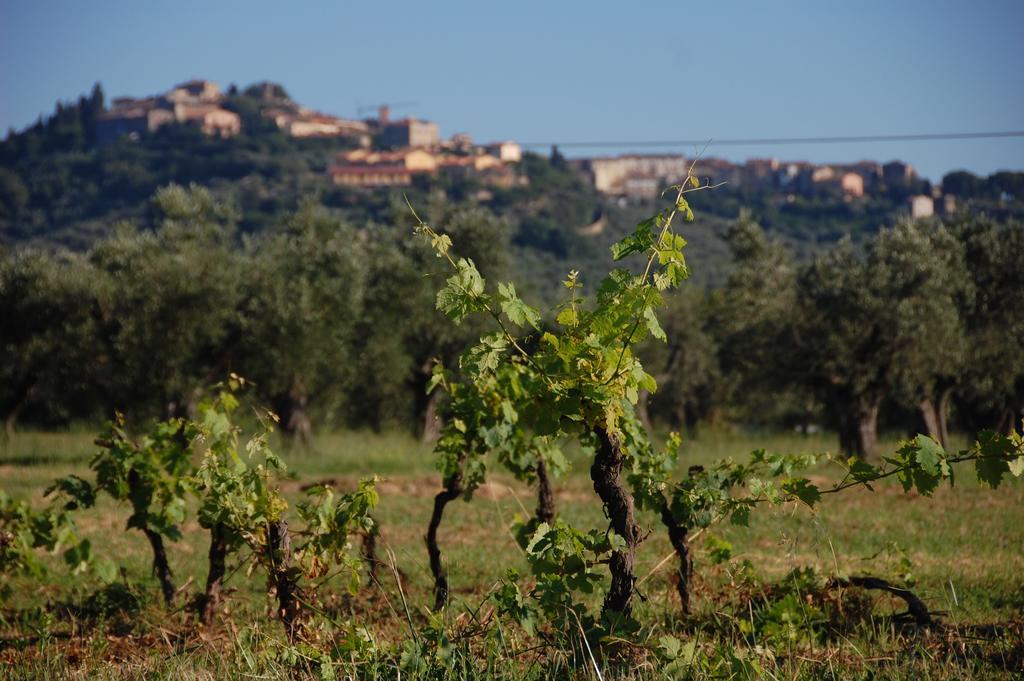 קסטנייטו קרדוצ'י Agriturismo Quattro Pini מראה חיצוני תמונה