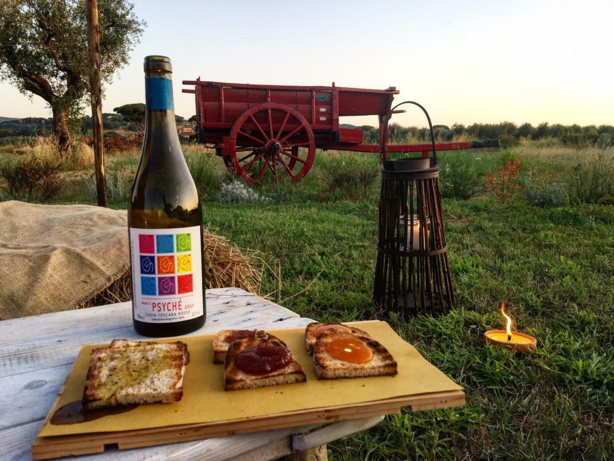 קסטנייטו קרדוצ'י Agriturismo Quattro Pini מראה חיצוני תמונה