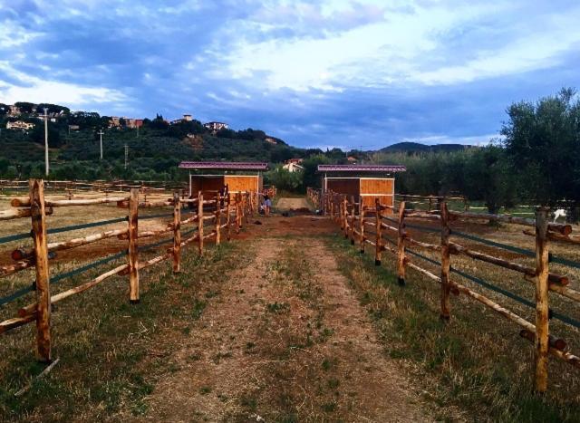 קסטנייטו קרדוצ'י Agriturismo Quattro Pini מראה חיצוני תמונה